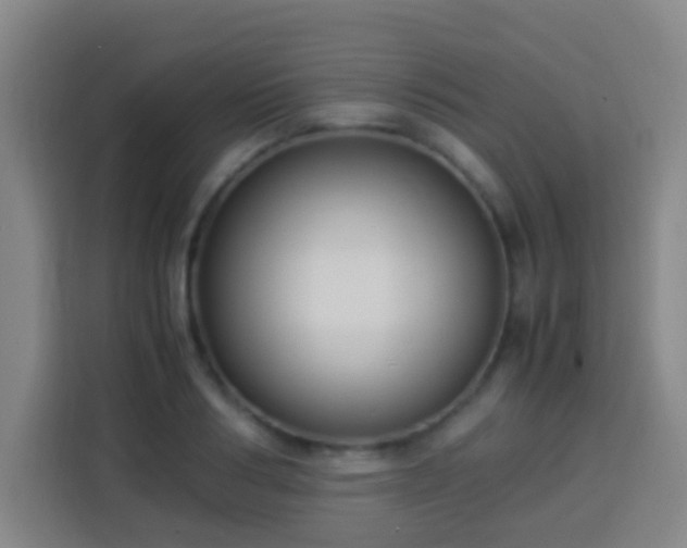 X0000113950986200910021502