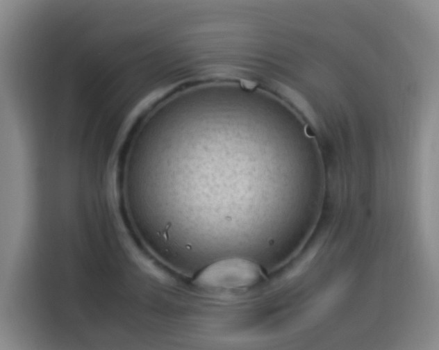 X0000113950987200910021502