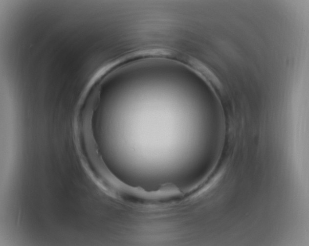 X0000113950989200910021502