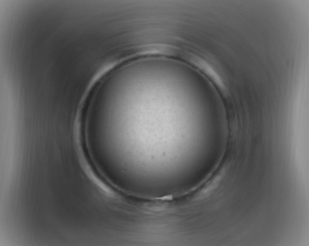X0000113950991200910021502