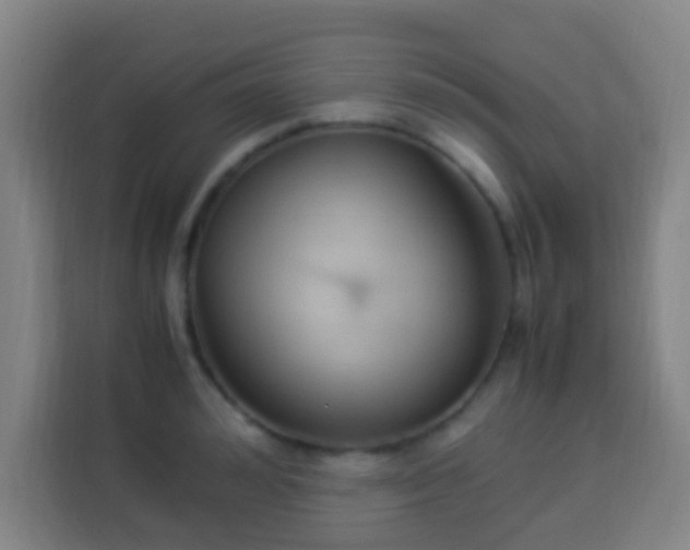 X0000113950992200910021502