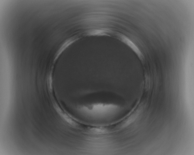 X0000113950994200910021502