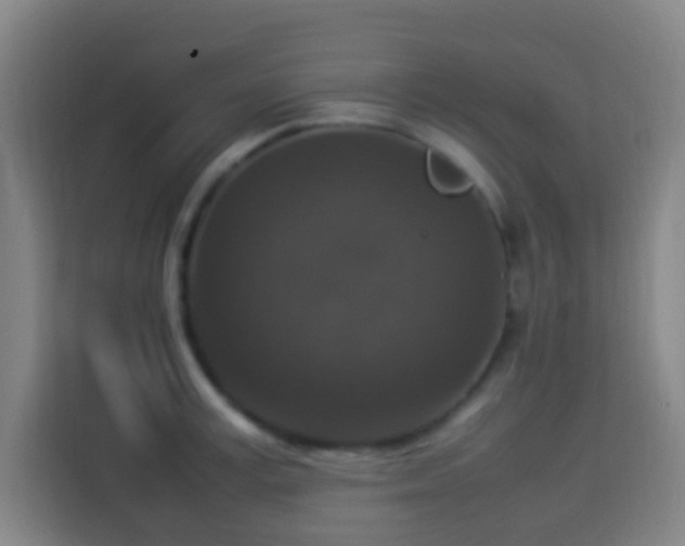 X0000113950995200910021502