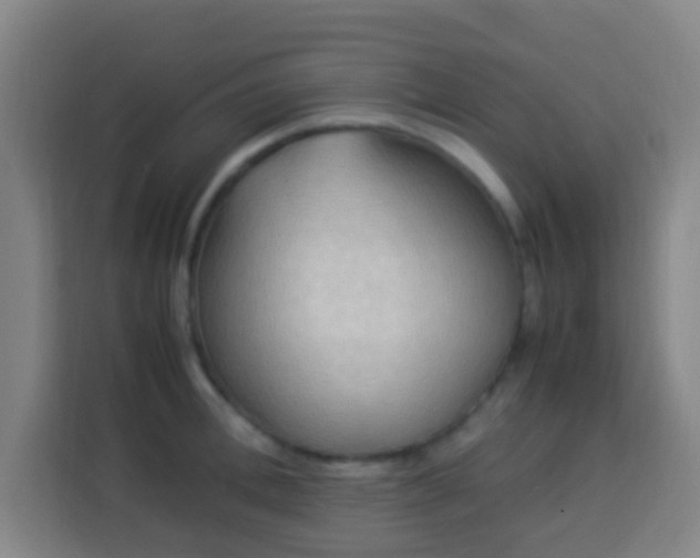 X0000113950996200910021502