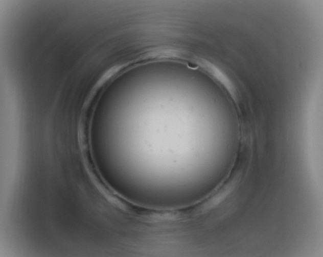 X0000113950997200910021502