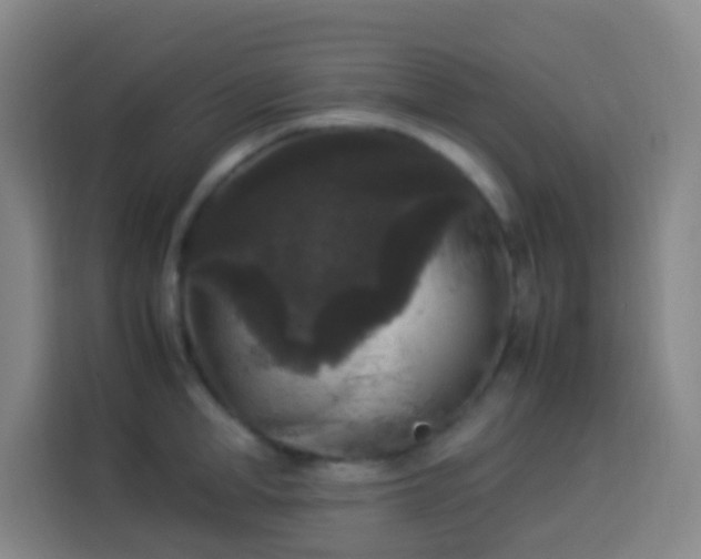 X0000113950998200910021502