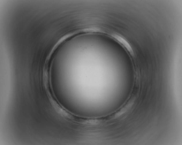 X0000113951000200910021502