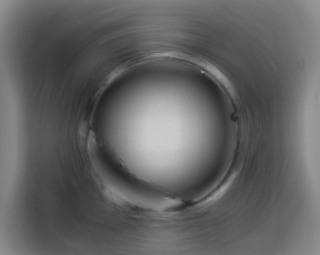 X0000113951001200910021502