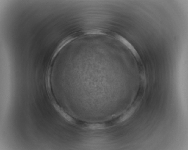 X0000113951002200910021502