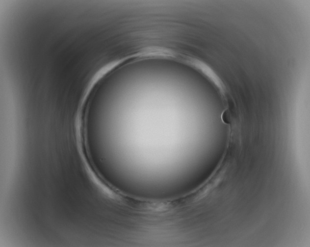 X0000113951003200910021502