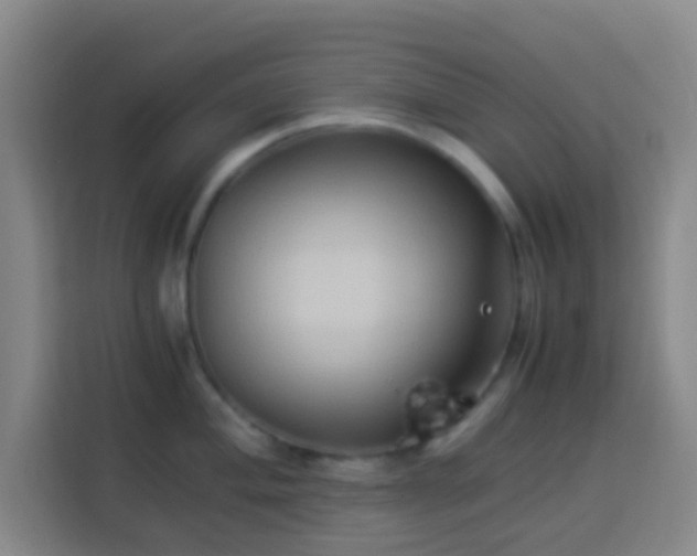 X0000113951004200910021502