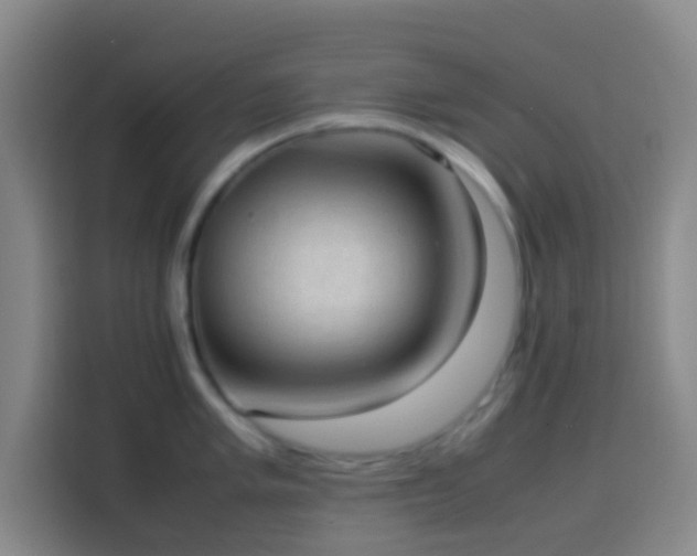 X0000113951005200910021502