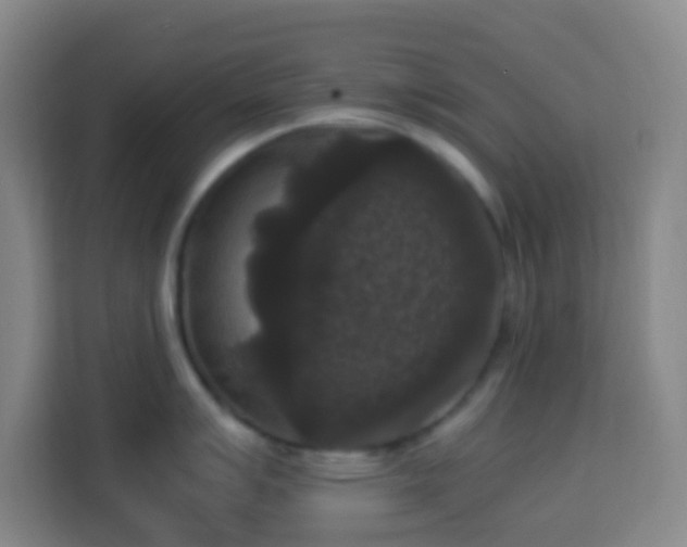X0000113951007200910021502