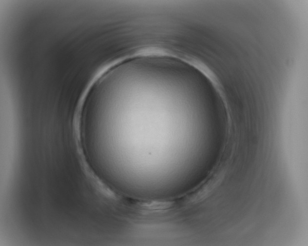 X0000113951008200910021502