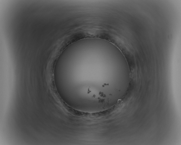 X0000113951009200910021501