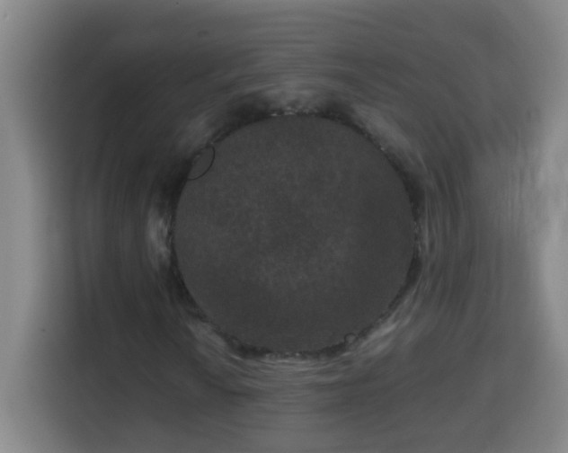 X0000113951010200910021501