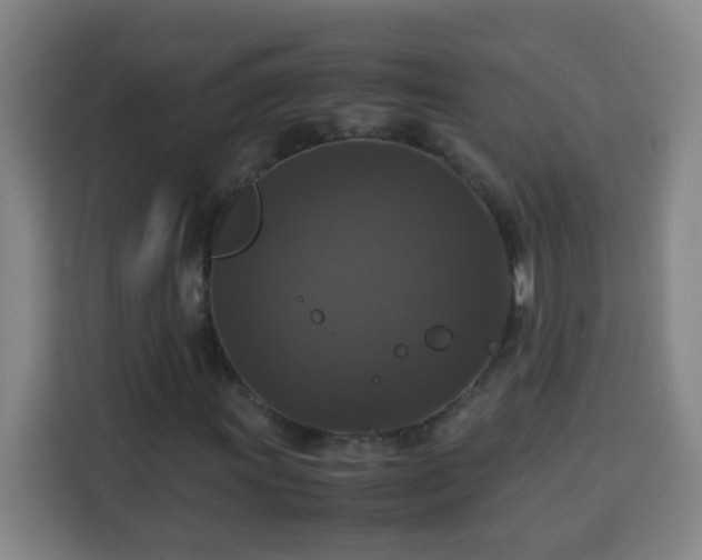 X0000113951011200910021501