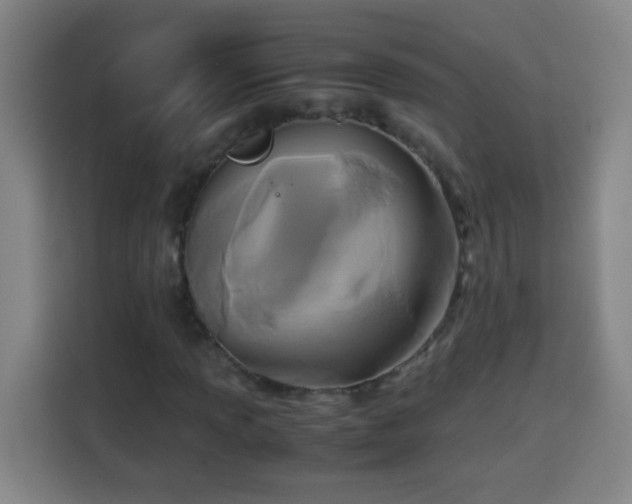 X0000113951013200910021501