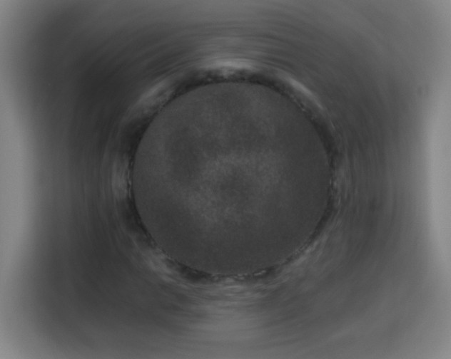 X0000113951014200910021501