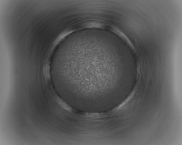 X0000113951019200910021501