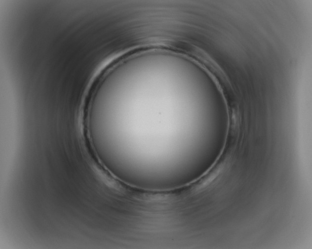 X0000113951020200910021501