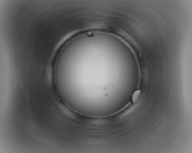 X0000113951021200910021501