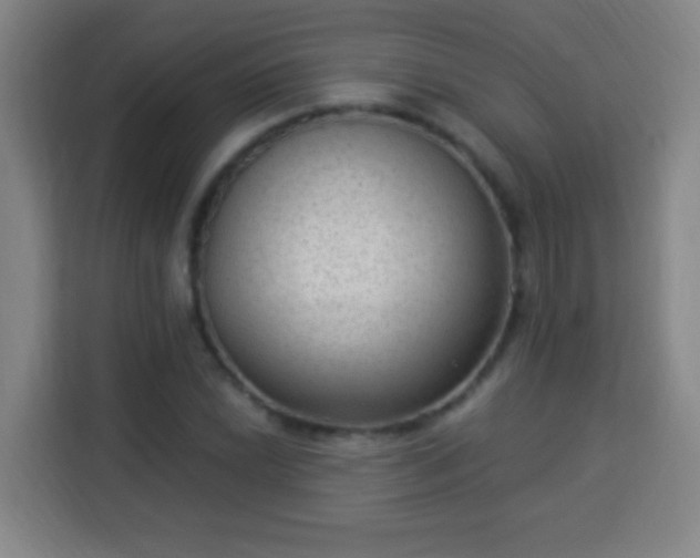 X0000113951022200910021501