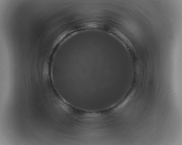 X0000113951023200910021501