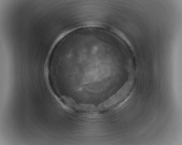 X0000113951024200910021501