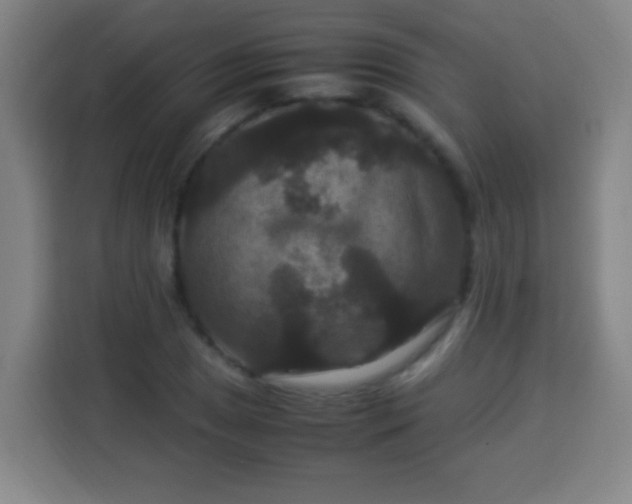 X0000113951025200910021501