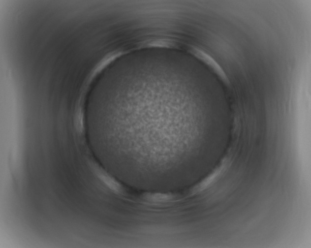 X0000113951027200910021501