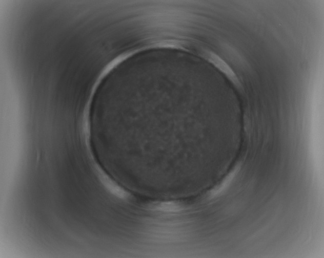 X0000113951028200910021501
