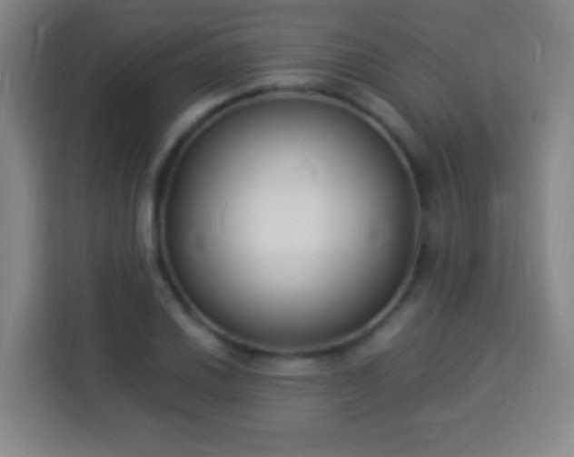 X0000113951030200910021501