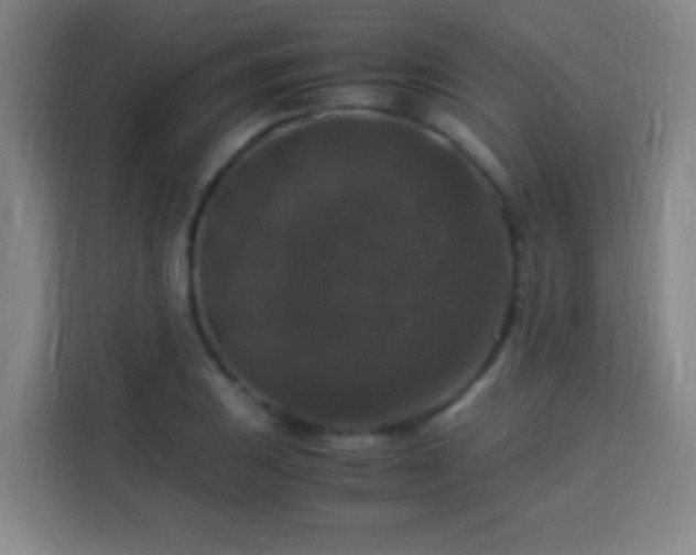 X0000113951031200910021501