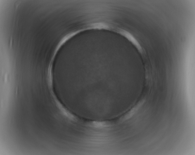 X0000113951032200910021501