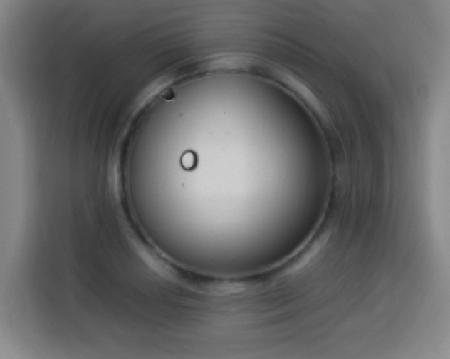 X0000113951034200910021501
