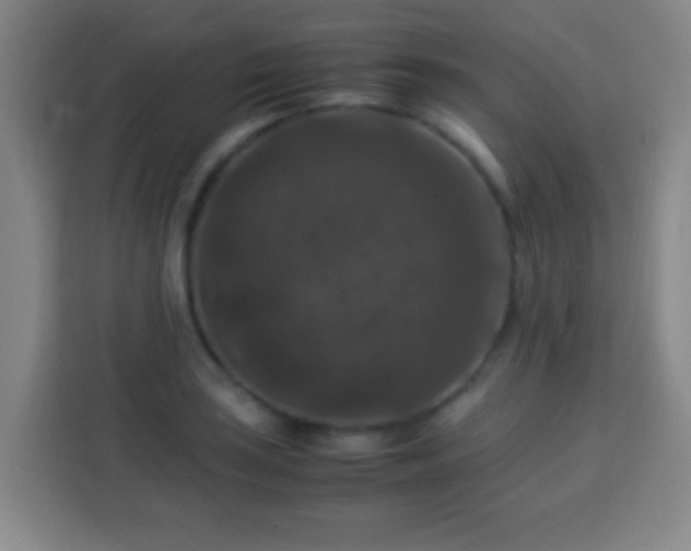 X0000113951035200910021502