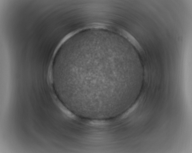 X0000113951036200910021502