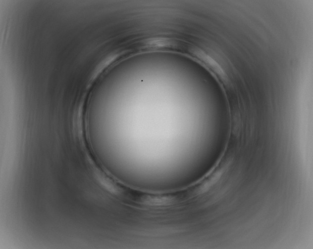 X0000113951039200910021502