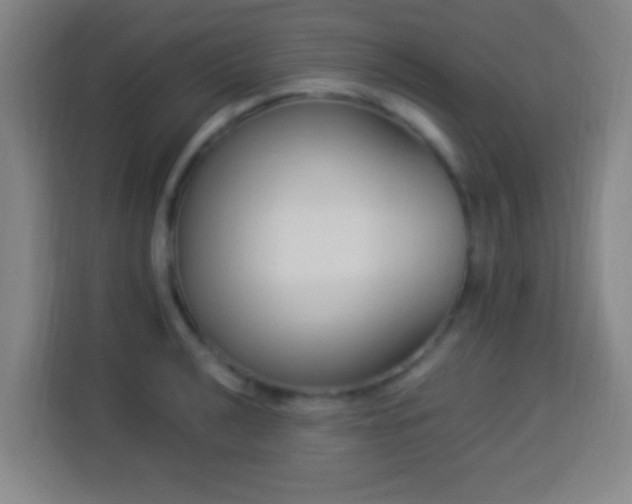 X0000113951040200910021502