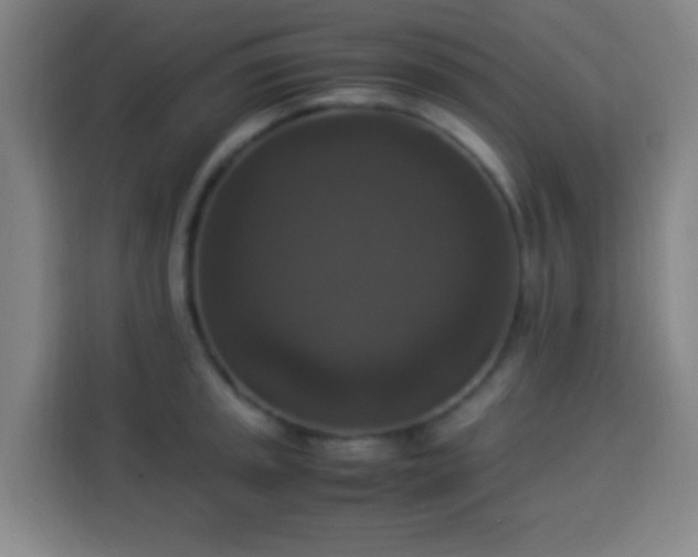 X0000113951045200910021502