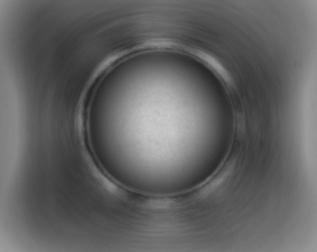 X0000113951046200910021502