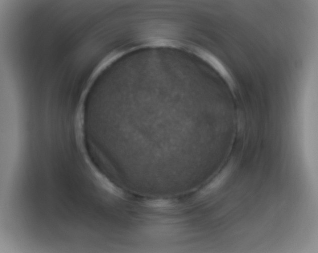 X0000113951048200910021502
