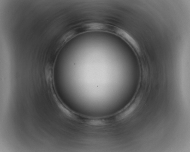 X0000113951049200910021502