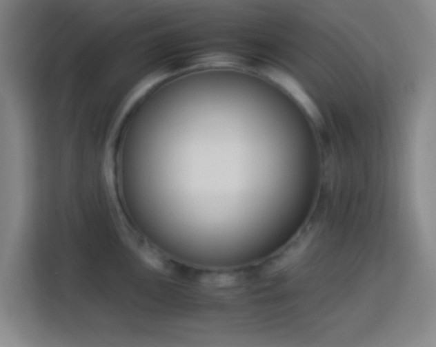 X0000113951051200910021502
