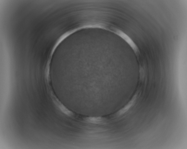 X0000113951052200910021502
