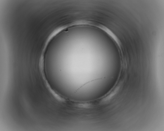 X0000113951053200910021502