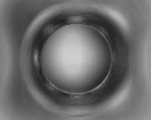 X0000113951054200910021502