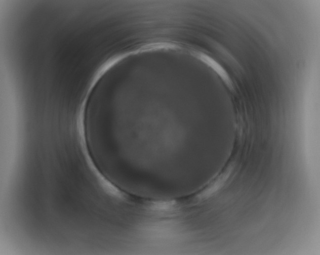 X0000113951055200910021502