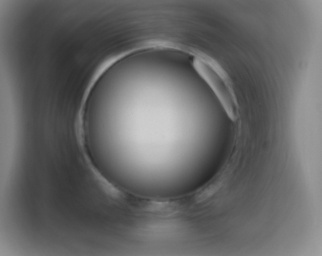 X0000113951056200910021502